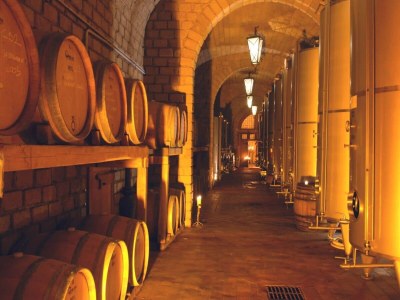 Apartment Vinarte, eine wunderschöne Villa und ein Weingut - Outdoor photo 39