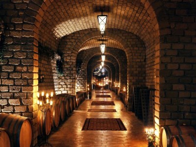 Apartment Vinarte, eine wunderschöne Villa und ein Weingut - Outdoor photo 40