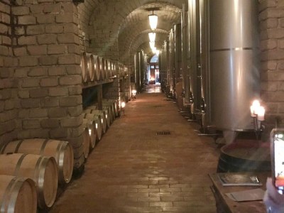 Apartment Vinarte, eine wunderschöne Villa und ein Weingut - Outdoor photo 41