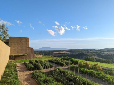 Villa Maniero in Maremma, luxury villa - Outdoor photo 15