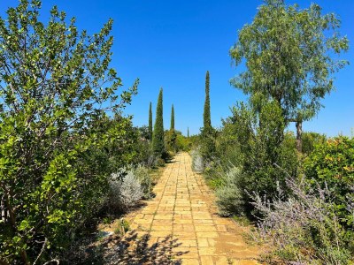 Villa Maniero in Maremma, luxury villa - Environment photo 43