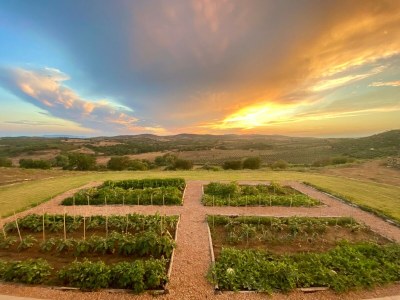 Villa Maniero in Maremma, luxury villa - Environment photo 48