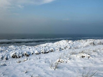 Holiday house Sterflat 85 - Ferienhaus Wohnung in Egmond nahe Dünen und Strand - Outdoor photo 17