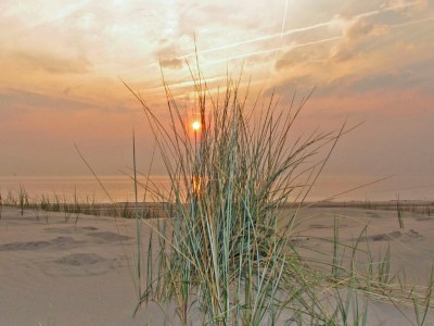 Holiday house Sterflat 85 - Ferienhaus Wohnung in Egmond nahe Dünen und Strand - Outdoor photo 19