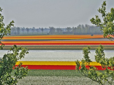 Holiday house Sterflat 85 - Ferienhaus Wohnung in Egmond nahe Dünen und Strand - Outdoor photo 20