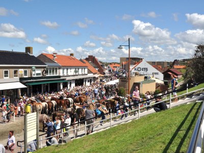 Bungalow Type E - Environment photo 14