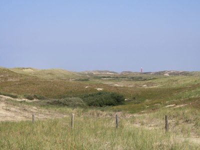 Holiday house Seinpost Callantsoog - Environment photo 18