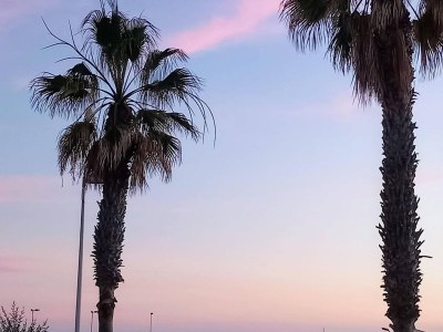 Apartment Wohnung mit Gartenblick in El Médano - Environment photo 37