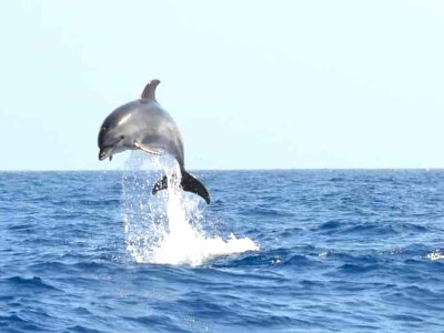 Apartment Wohnung mit Gemeinschaftspool und Garten - Outdoor photo 34