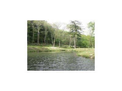 Holiday house Beautiful 17th century character residence - Environment photo 29