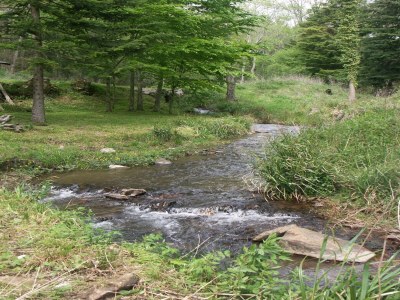 Holiday house Beautiful 17th century character residence - Outdoor photo 30