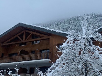 Apartment Geräumiges Apt Balkon in den französischen Alpen in La Chapelle-d'Abondance - Apartment