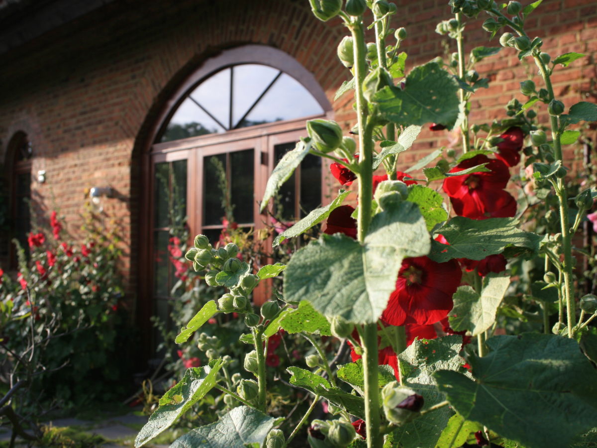 Holiday apartment Quellenhof - Outdoor photo 5