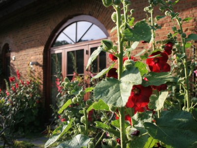 Holiday apartment Quellenhof - Outdoor photo 5