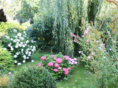 Holiday apartment Quellenhof - Outdoor photo 7