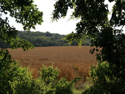 Holiday apartment Quellenhof - Environment photo 19