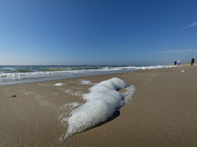 Holiday park Bungalow in Nordholland am Strand - Environment photo 12