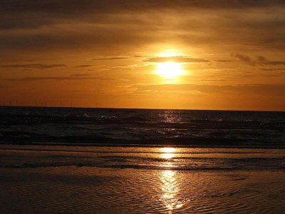 Holiday park Bungalow in Nordholland am Strand - Environment photo 13