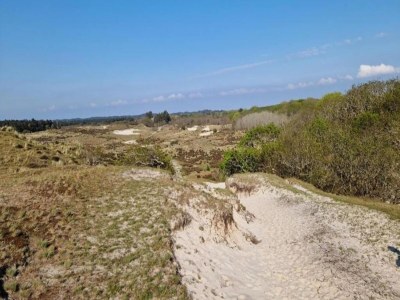 Holiday park Bungalow in Nordholland am Strand - Environment photo 16