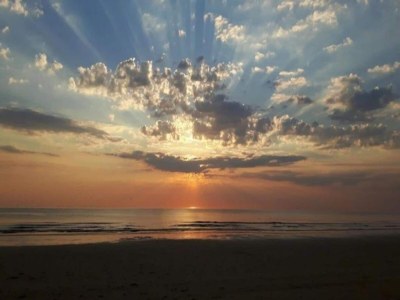 Holiday park Beach Villa in North Holland with Patio - Environment photo 12