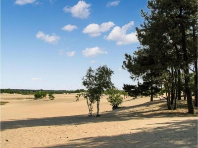 Holiday park Chalet in Duinhoeve with Van Gogh Style - Environment photo 9