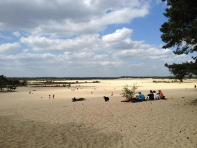 Holiday park Chalet in Duinhoeve with Van Gogh Style - Environment photo 18