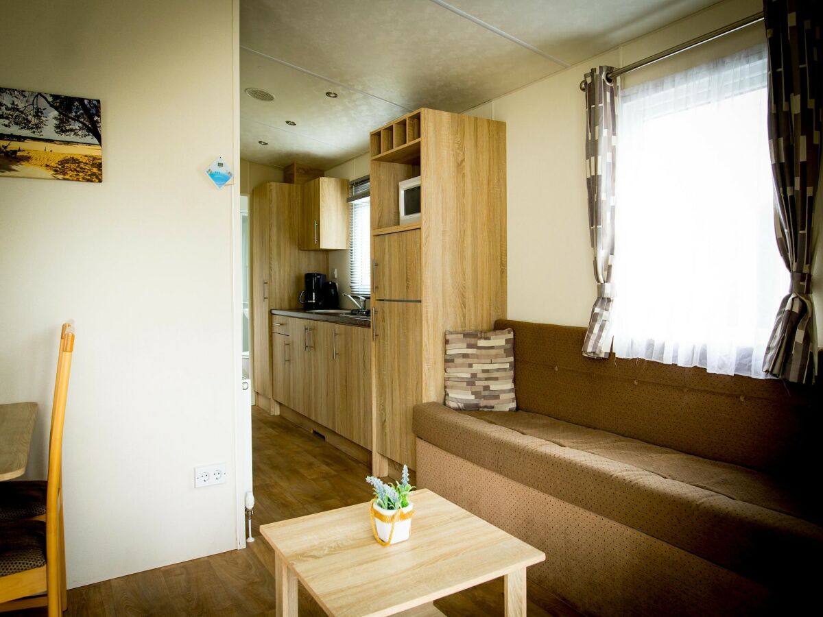 Holiday park Chalet near Loonse and Drunense Dunes - Features photo 5