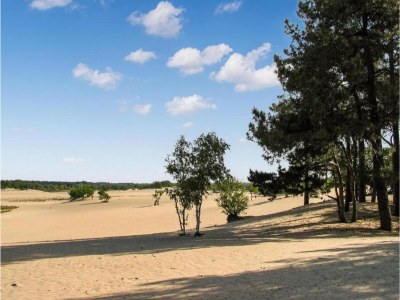 Holiday park Chalet near Loonse and Drunense Dunes - Environment photo 17