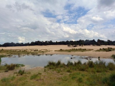 Holiday park Chalet near Loonse and Drunense Dunes - Environment photo 25