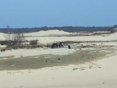 Holiday park Chalet near Loonse and Drunense Dunes - Environment photo 26