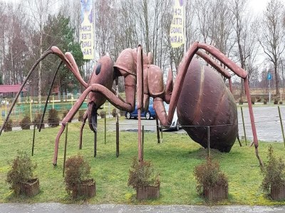 Apartment Appartementhaus in Trassenheide - Environment photo 31