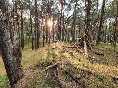 Apartment Appartementhaus in Trassenheide - Environment photo 34