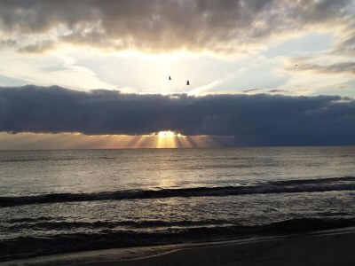 Apartment Appartementhaus in Trassenheide - Environment photo 35