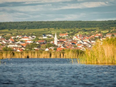 Holiday apartment "Appartementhaus-Freiler" - Environment photo 23