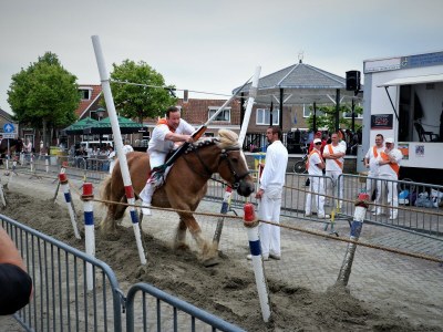 Bungalow For 6 people in the holiday resort Broedershoek - Environment photo 22
