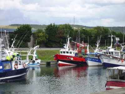 Holiday park Townhouse near Bay of Somme and Beaches - Environment photo 24