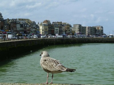 Holiday park Townhouse near Bay of Somme and Beaches - Environment photo 28