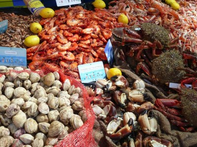 Holiday park Townhouse near Bay of Somme and Beaches - Environment photo 29