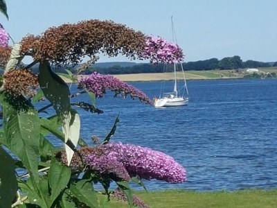 Holiday apartment Maisonette "Strandpromenade" - Environment photo 36