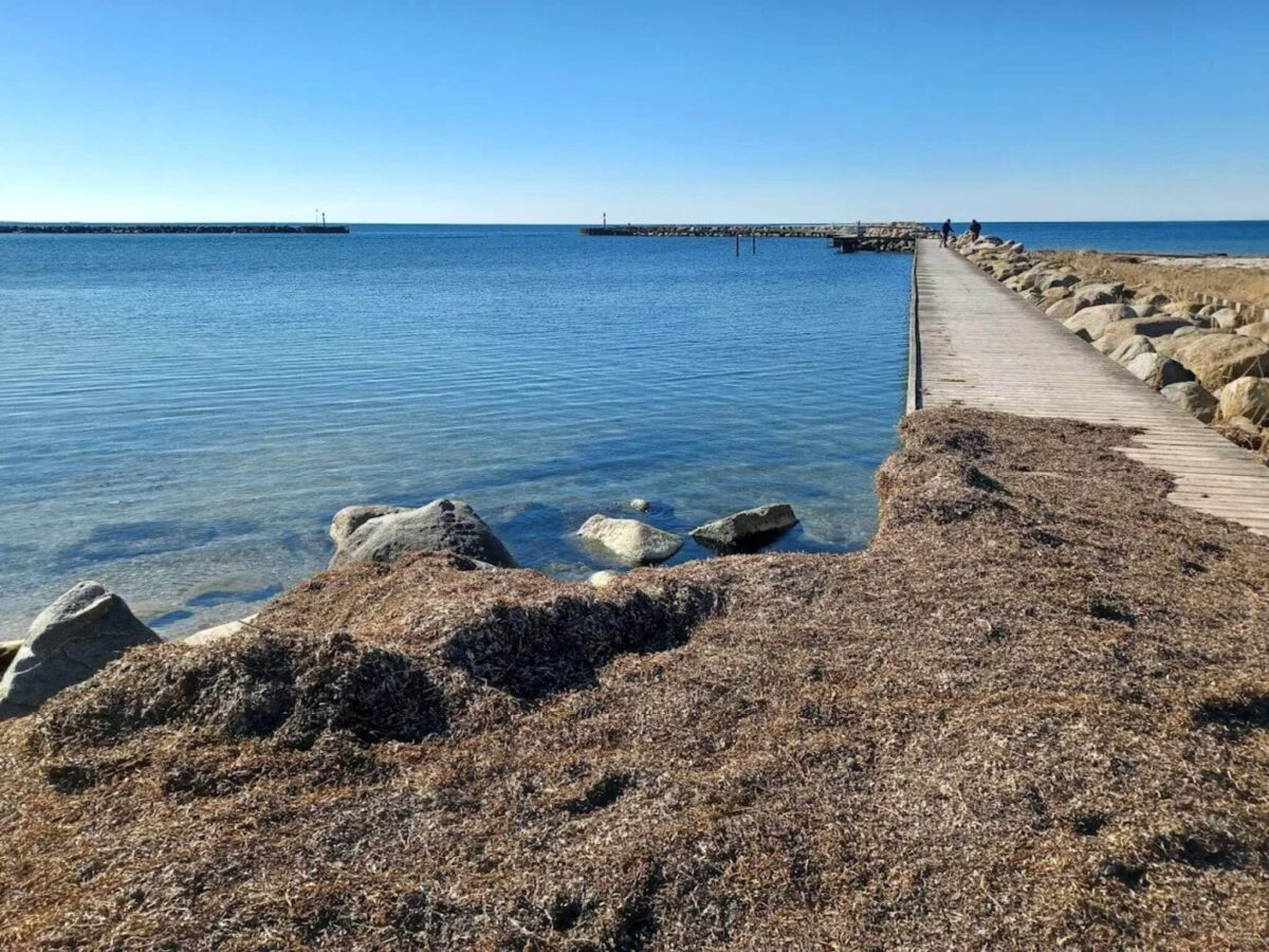 Holiday park Holiday home in Karrebæksminde- free water park - Outdoor photo 4