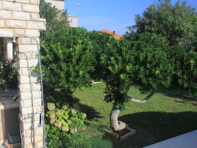 Apartment One bedroom apartment near beach Tkon, Pašman A-336-b - Outdoor photo 7