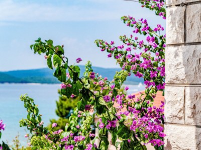 Apartment One bedroom apartment with terrace and sea view Orebić, Pelješac A-269-c - Outdoor photo 30