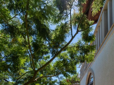 Apartment Two bedroom apartment with terrace and sea view Puntinak, Brač A-718-b - Outdoor photo 10