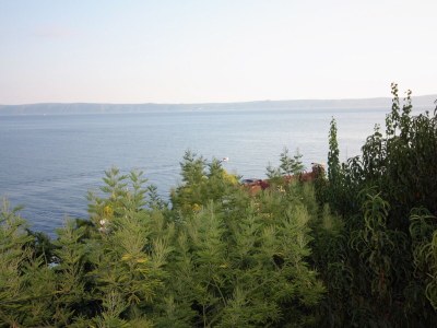 Apartment Two bedroom apartment with terrace and sea view Puntinak, Brač A-718-c - Outdoor photo 28