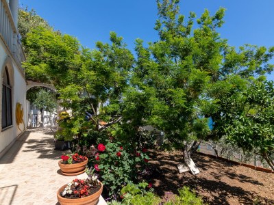 Apartment Two bedroom apartment with terrace and sea view Puntinak, Brač A-718-d - Outdoor photo 6