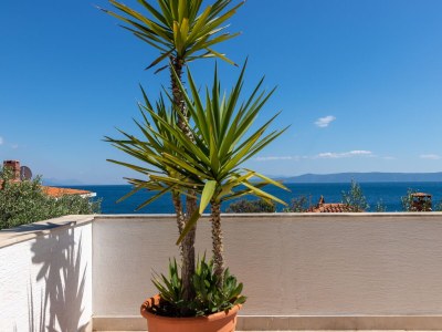 Apartment Studio flat with terrace and sea view Puntinak, Brač AS-718-a - Outdoor photo 8