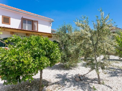 Apartment One bedroom apartment with terrace Mirca, Brač A-729-a - Outdoor photo 7