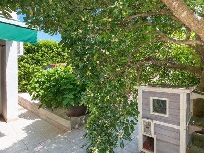 Apartment One bedroom apartment with terrace Mirca, Brač A-729-a - Outdoor photo 10