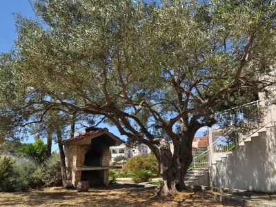 Apartment Two bedroom apartment with terrace and sea view Stupin Čeline, Rogoznica A-2096-a - Outdoor photo 11