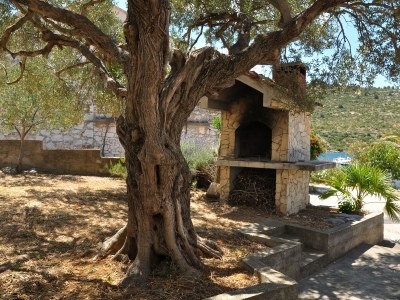 Apartment Two bedroom apartment with terrace and sea view Stupin Čeline, Rogoznica A-2096-a - Outdoor photo 12